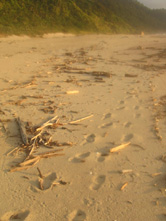 Footprints on beach