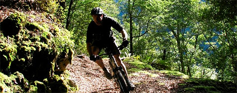 Lyell Bike Track