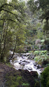 Swing bridge