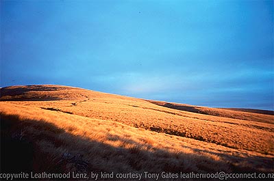 Tablelands - Kahurangi National Park